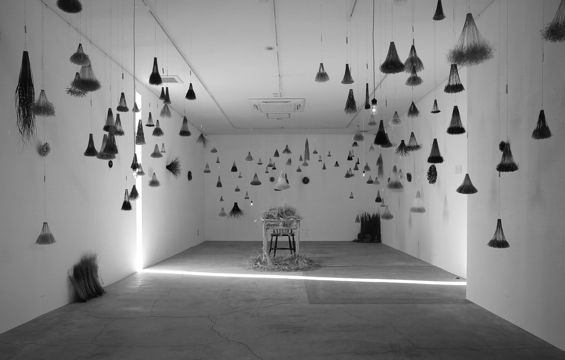 KiKusa展 草七万本の生命の燃焼