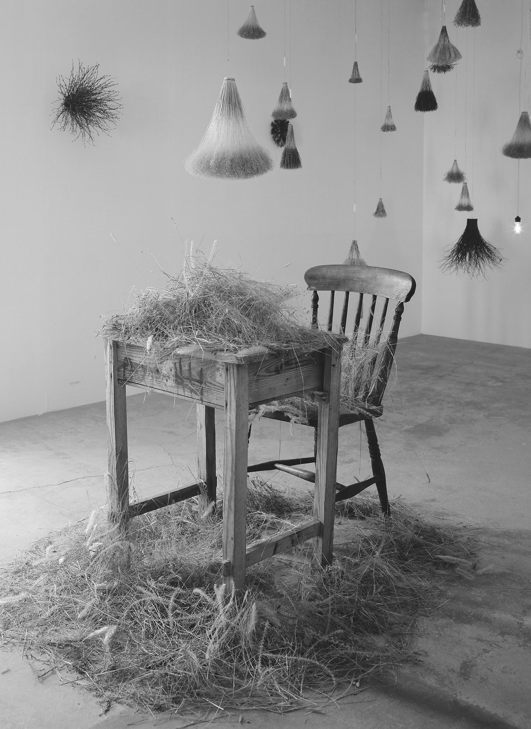 植物インスタレーション TURUSU＋選ばれなかった花草