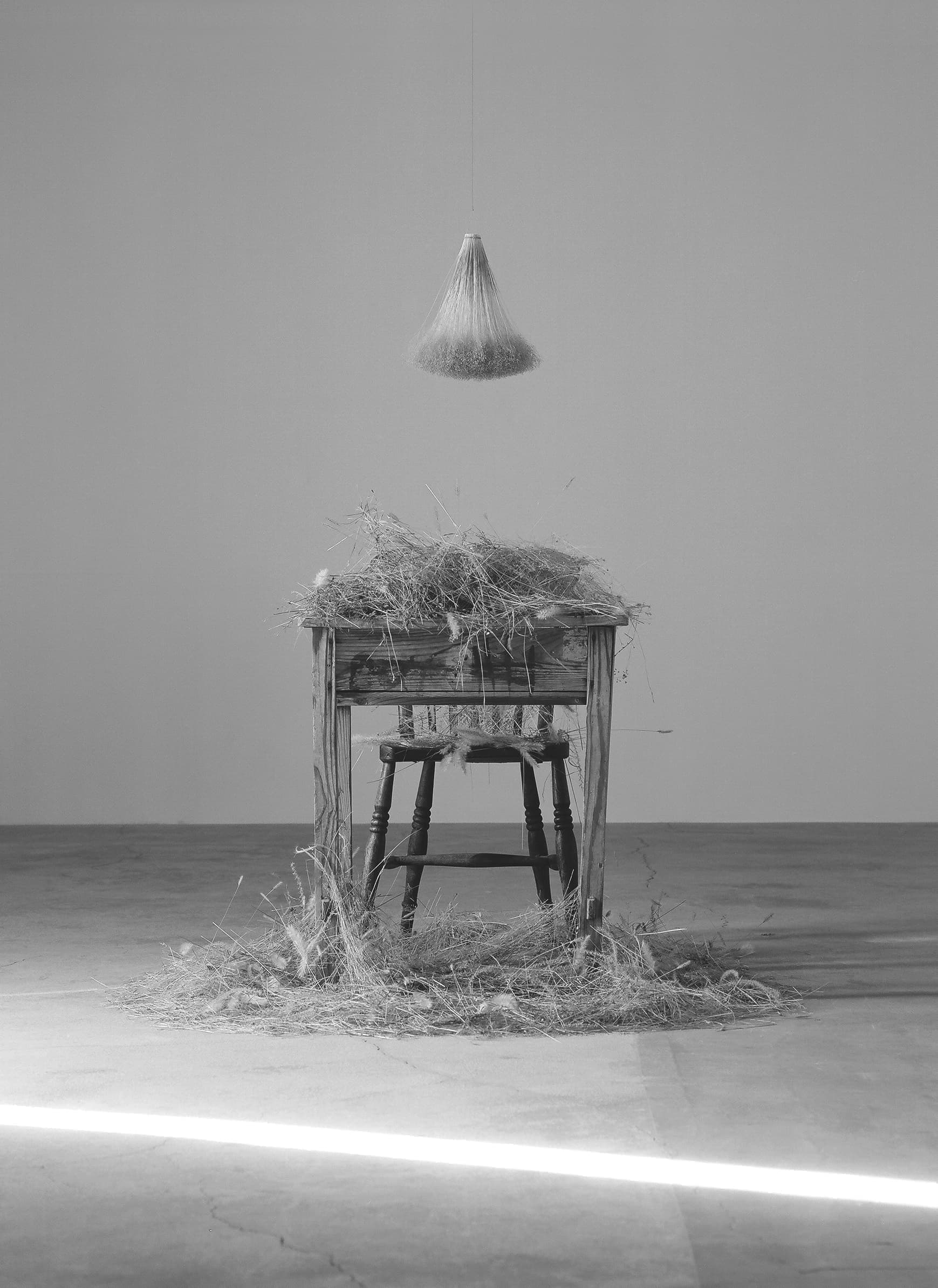 植物インスタレーション TURUSU＋選ばれなかった花草