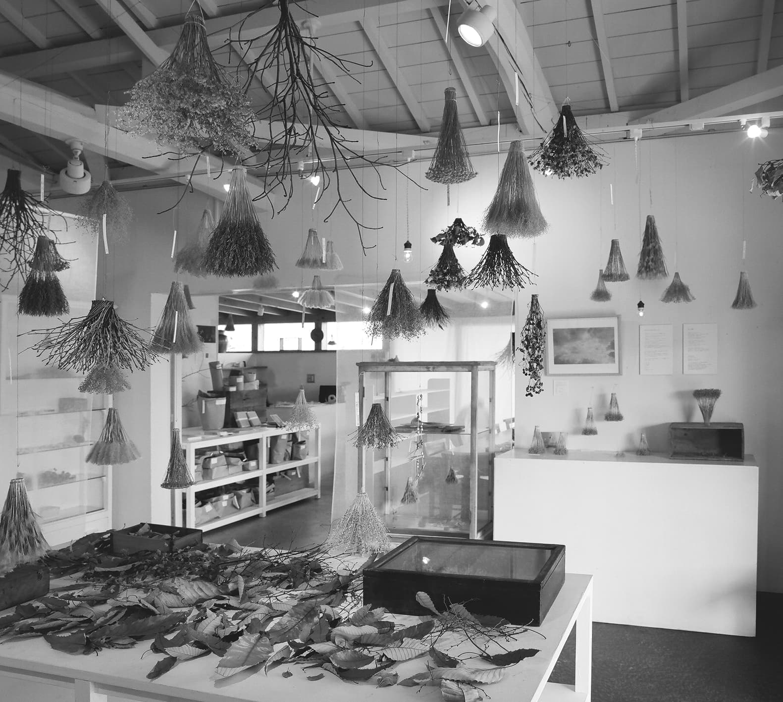 KiKusa 大切なものは目に見えないんだ 展示風景