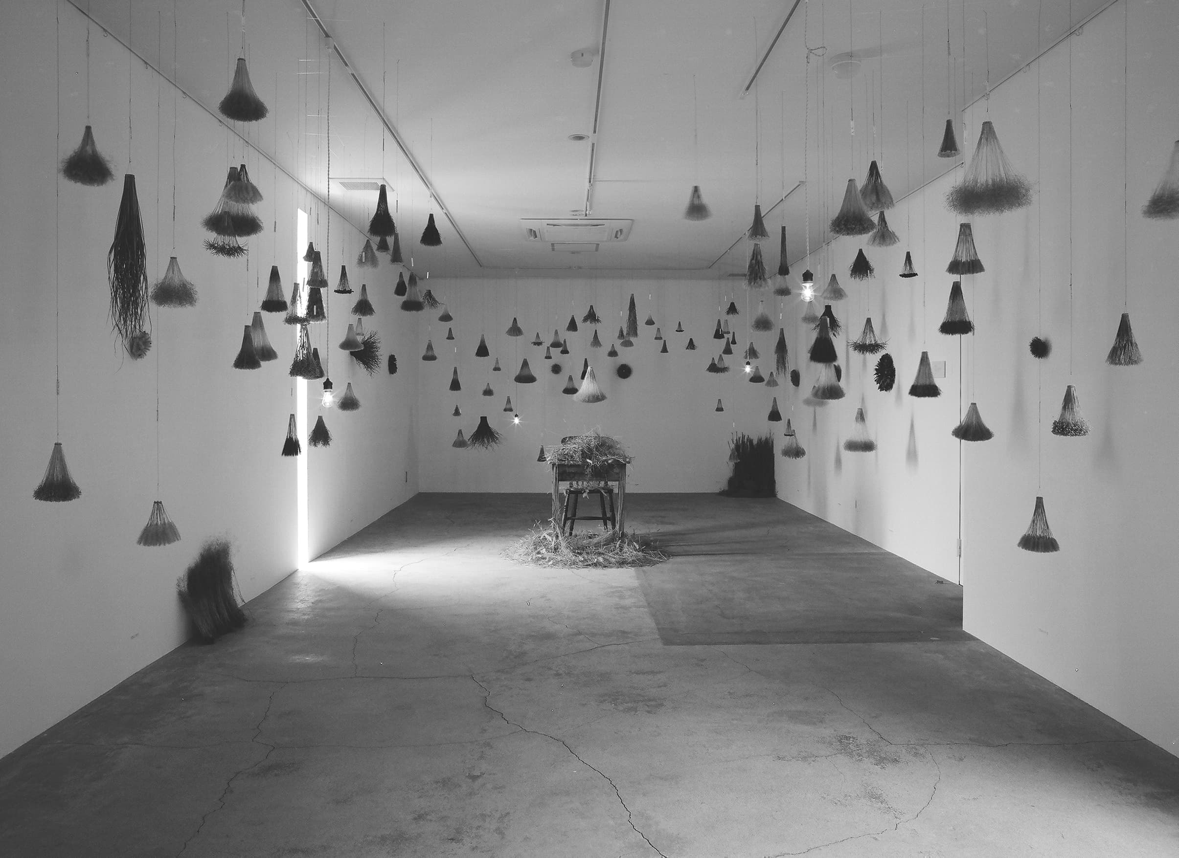 KiKusa 一本の花草に宇宙が見えるように 展示風景